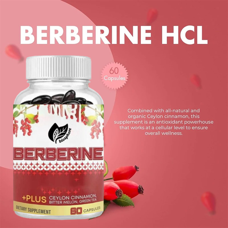 بربرين HCL 1200 مجم، يحتوي على - مراجعة Berberine Hcl Capsule وسعره