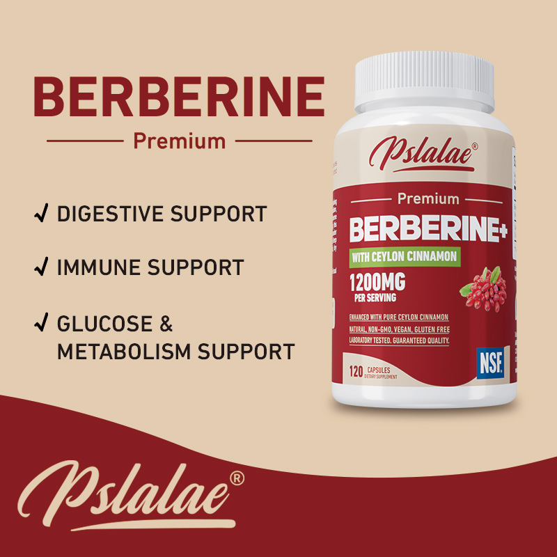 البربرين - مضاد للأكسدة، يدعم  - مراجعة Berberine Hcl Capsule وسعره