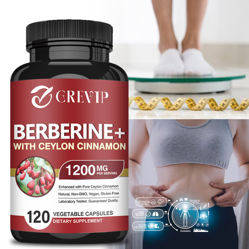 بربارين-ممتاز HCL Mg ، يدعم ال - مراجعة Berberine Hcl Capsule وسعره